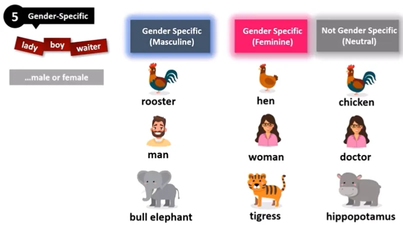 Gender-Specific Nouns