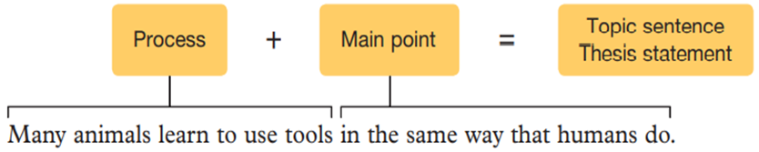 Main Point in Process Analysis