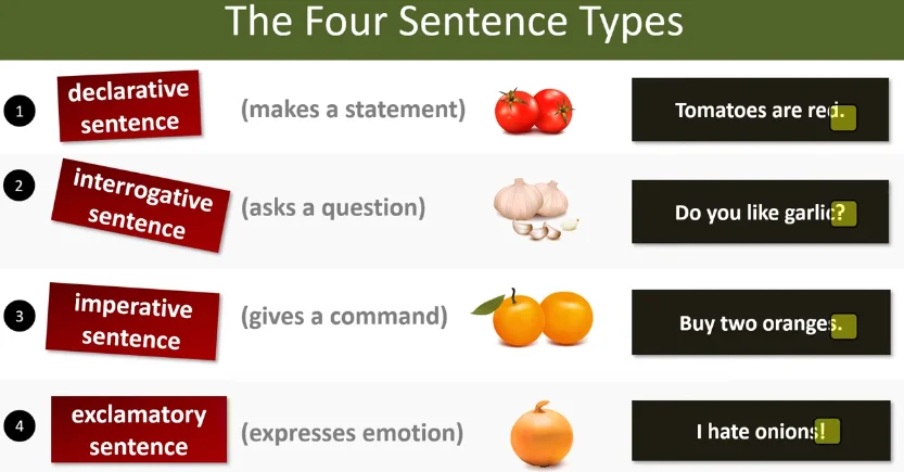 Examples of 4 types of sentences