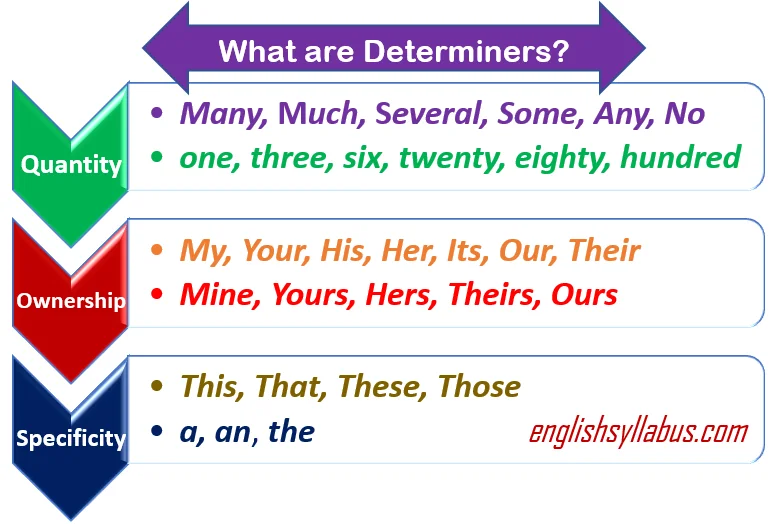 What Are Determiners Grammar English Course