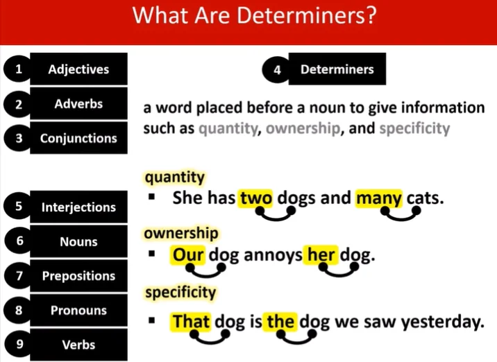 Use of Determiners in Grammar
