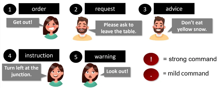 5 Examples Of Command Sentences