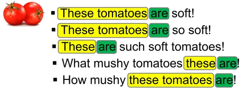 Subject-verb order in Exclamatory Sentences