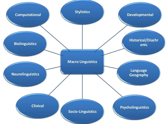The Macro Branches of Linguistics include Sociolinguistics, Psycholinguistics, Theoretical Linguistics, Applied linguistics, Descriptive linguistics, Historical linguistics, Dialectology, Computational linguistics, Discourse Analysis, Neurolinguistics, and Stylistics.