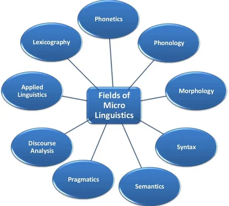 Micro Branches of linguistics 